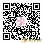 适合女人做的生意-内衣加盟【都市新感觉内衣】