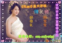 沈阳催乳师培训班火热报名中
