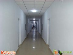 专业刷墙 刷涂料 喷漆写字楼刷墙 打隔断 拆隔断