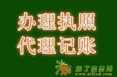 500元办照 10年经验 千家案例 专批一般纳税人