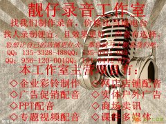 语音芯片 喊话器