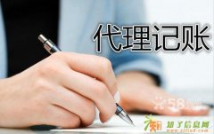 工商代理 注册税务代理 正规税务代理 代理税务