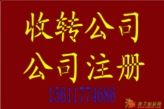 工商注册，政府授权地址，可异地经营，代理记账，转账审批