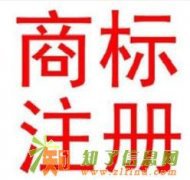 知识产权代理公司 知识产权服务有限公司