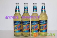 湖南河南等地区330ml夜场啤酒代理啤酒招商