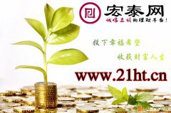 诚信透明的理财平台首选——宏泰网