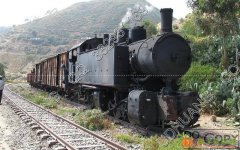 镇江到塔什干货物运输