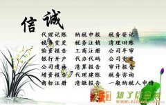 黄埔区公司注册代理记账申请一般纳税人