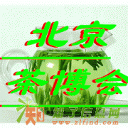 2015北京茶博会 沸腾中的北京茶博会