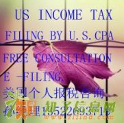 北京代理美国公司报税 常见表格汇总