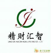 精财汇智专业公司注册代理记账