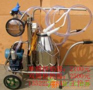 牛羊专用挤奶器挤奶机真空脉冲式挤奶器挤奶设备批发零售