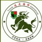 学历证书考试培训