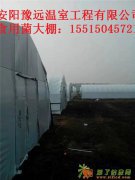鹤壁供应大棚材料搭建大棚建造预算养殖大棚加工