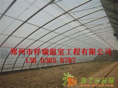 专业温室大棚建造中心土坑棚建造报价郑州祥瑞