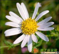 基金公司备案 资产公司备案