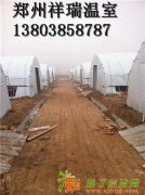 蘑菇大棚建设方法食用菌钢管大棚造价祥瑞温室