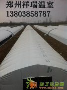 食用菌大棚新型环保大棚全自动大棚骨架郑州祥瑞