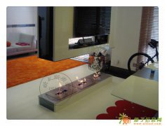 苏州欧文斯真火壁炉 电壁炉 酒精壁炉家居取暖装饰炉芯