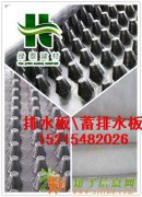 绿化排水板（楼顶）花园种植排水板