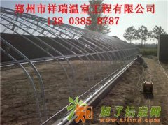 钢架温室大棚建造标准建造一个大棚多少钱