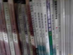 专业对外汉语教师教汉语