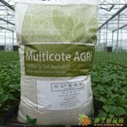 选水溶肥 还是以色列海法肥料值得信赖