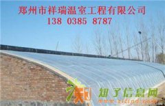 蔬菜大棚建造价格日光温室大棚建造报价