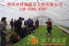 陕西蔬菜大棚建造价格许昌食用菌大棚建造成本