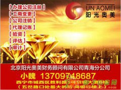 青海公司财税专业顾问苹果9月9日发布会