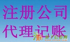 大额美元入资内资入资 企业增资、垫资