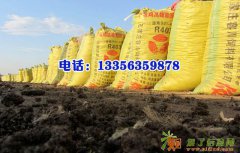 山东纯干鸡粪,河南干鸡粪批发,北京哪里卖鸡粪？