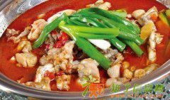 哪里有正宗跳跳蛙培训 跳跳蛙加盟