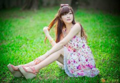 东盟油招商资料