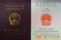 心师培训哪家强，广东广州找大成