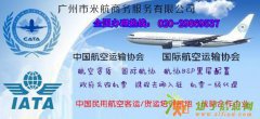国际航协货运代理人资质申请CARGO AGENCY