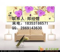 有想法自己创业，稳赚先机的，请进来！！！