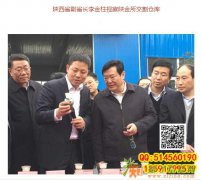 现货原油开户代理