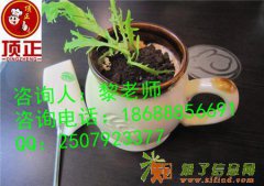 年度最火爆抢手特色小吃培训哪里有正宗特色披萨培训学校