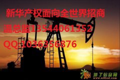 新华产权总部招商