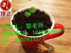 哪有特色披萨培训奶茶西点做法去哪里学特色小吃培训哪家好