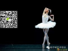 桔子树-舞蹈培训 爵士 拉丁 芭蕾 民族 古典