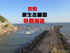 沈阳墓园到底哪个好回龙岗公墓怎么样观陵山公墓好沈阳真山真水墓