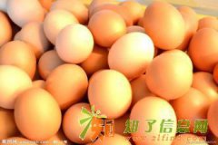 郑州鸡蛋批发配送