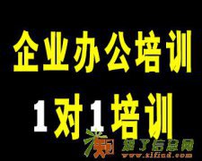 成都锦江牛王庙企业办公office培训——彩烘雨一对一培训