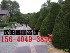 什么样的墓地风水好观陵山墓园对比东山公墓和陶然寝园有没有这样