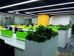 中关村小面积写字楼出租廉价、实用、完善、精致