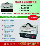 餐厅如何灭老鼠猫头鹰电子灭鼠器