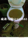 九棵树维修马桶疏通下水道
