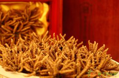 军博回收冬虫夏草13439830111收购过期发霉冬虫夏草